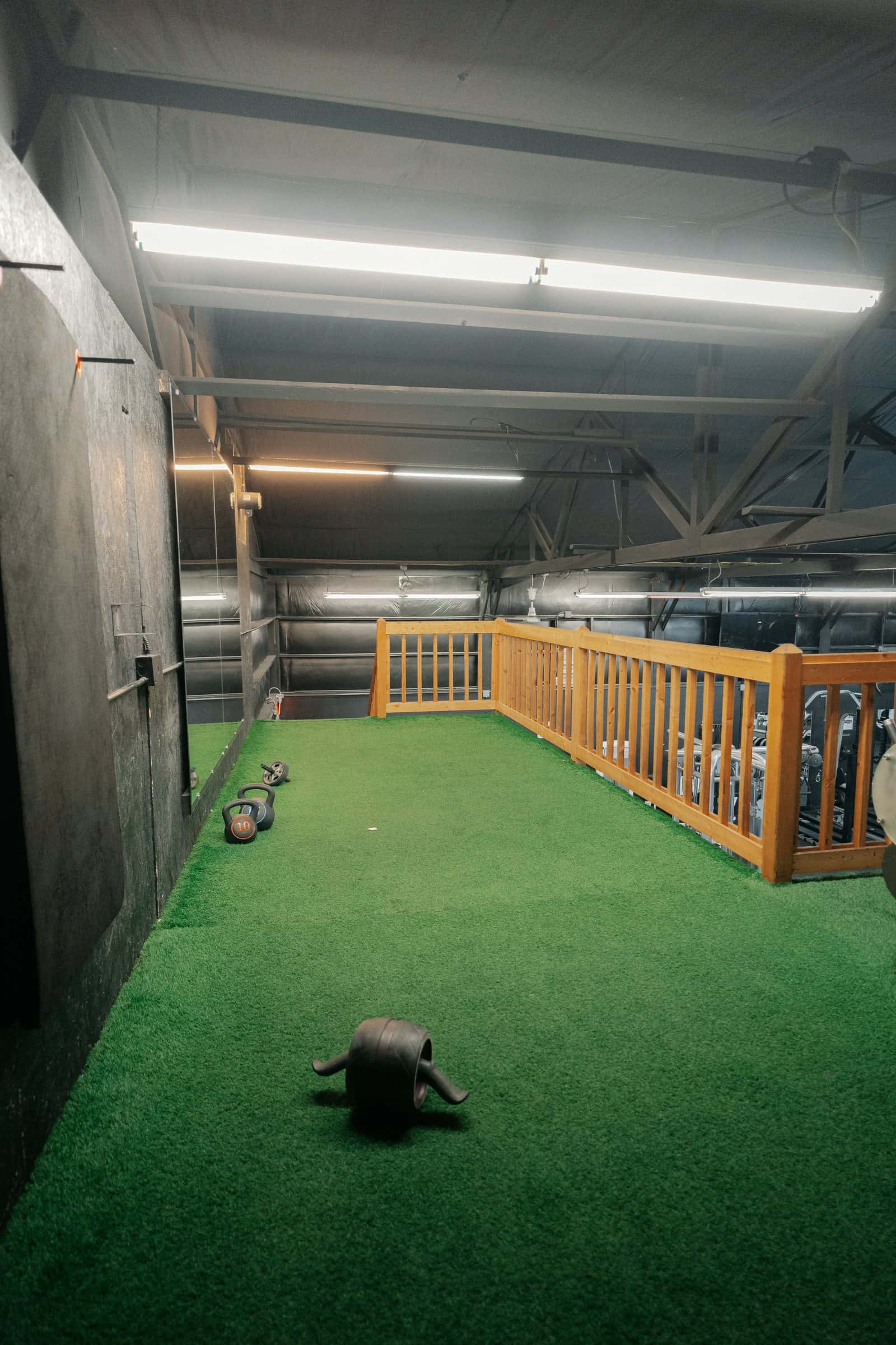 Ab area: a turf area at the back of the gym